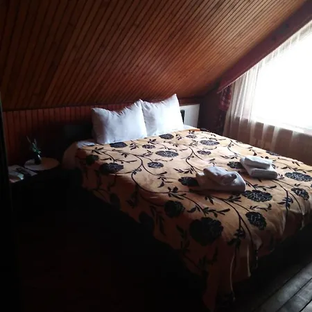 汽车旅馆 Guest House *
