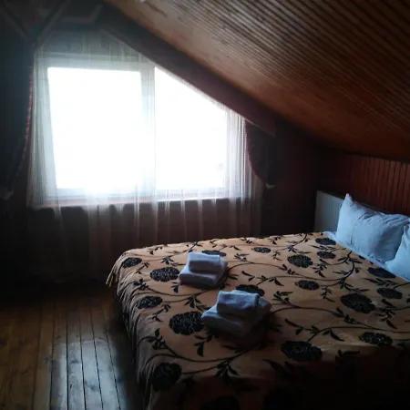 Guest House 汽车旅馆 *