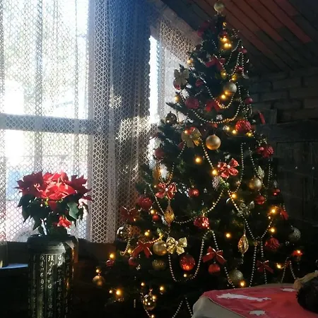 Guest House Motel Lemberg