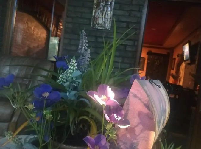 Guest House Λβιβ